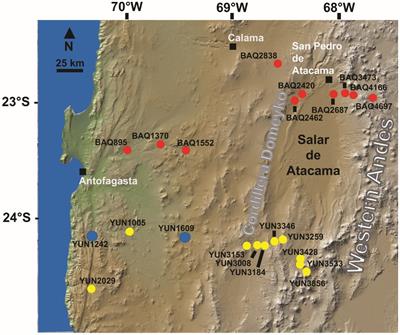 Hyperarid soil microbial community response to simulated rainfall